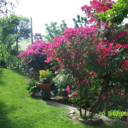 Bed & Breakfast Il Bosco Delle Torte