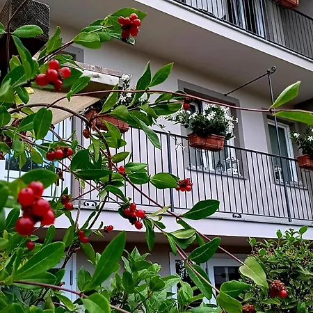 Il Bosco Delle Torte Bed & Breakfast