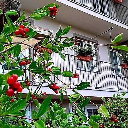 Il Bosco Delle Torte Castellinaldo