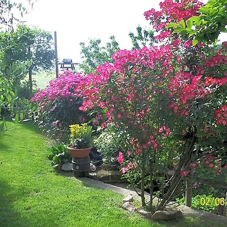 Bed & Breakfast Il Bosco Delle Torte Castellinaldo