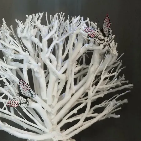 Il Bosco Delle Torte 4* Castellinaldo